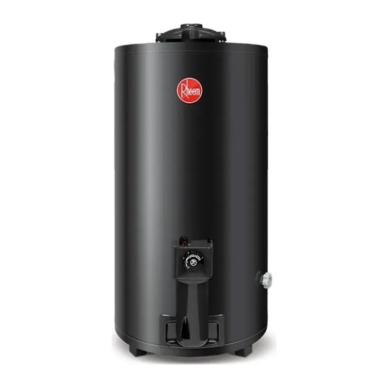 Termotanque A Gas Rheem Tgnp080rh