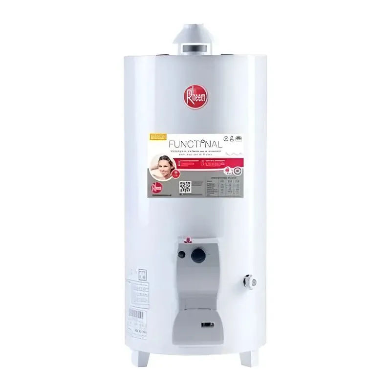 Termotanque Rheem Multigas De Pie 80 Litros Tpg080gnrh
